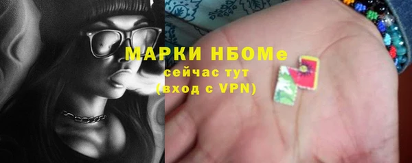прущий лед Алзамай